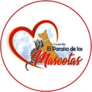 Imagen de @elparaiso_d